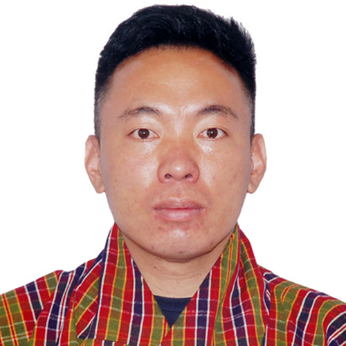 Manager, Access Network Section